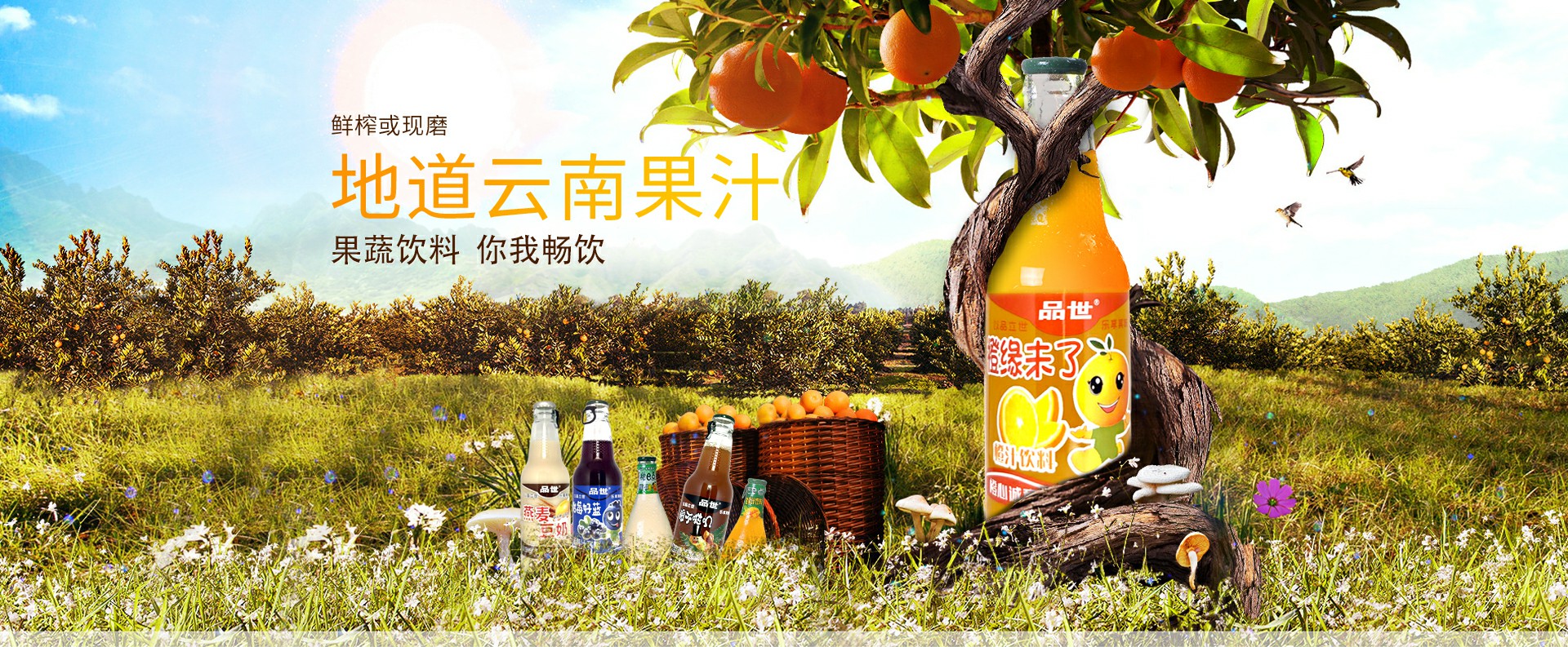 品世饮料，鲜榨或现磨，地道云南果汁