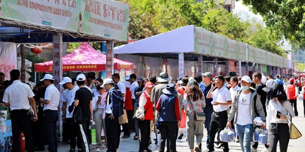 助力富民杨梅节,品世产品又火上一把