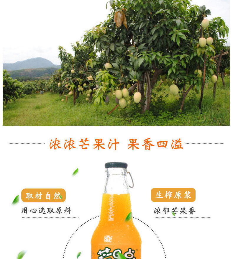 芒果汁小胖瓶_05