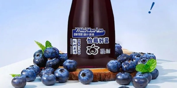 20年专注玻瓶果汁，代理利润高！