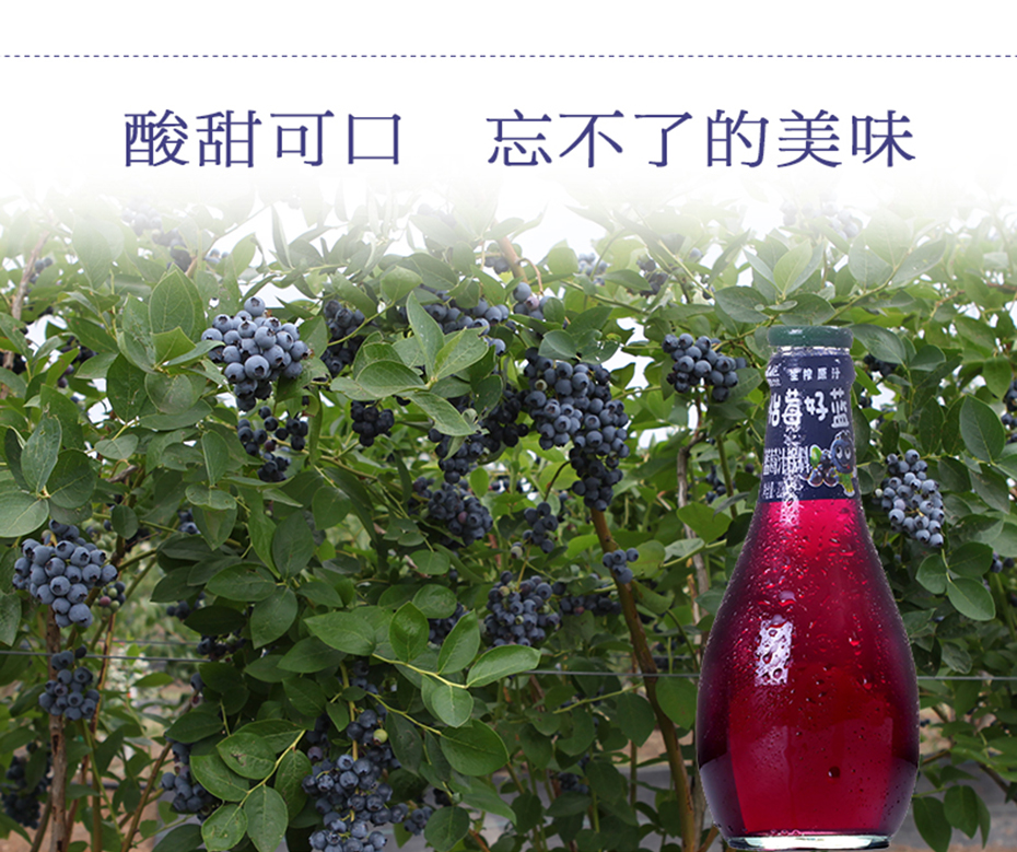 品世蓝莓汁