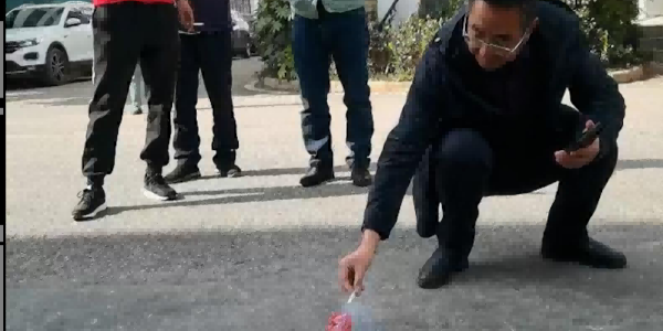 新春开工展鸿图，蛇年奋进创新功